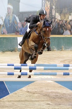 260 Conjuntos na Gala Equestre de Matosinhos
