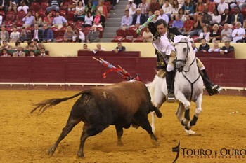 Melhor Cavalo Lusitano de Toureio em 2014