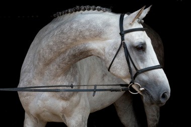 Mylord Carthago HN despede-se das pistas (VÍDEO)