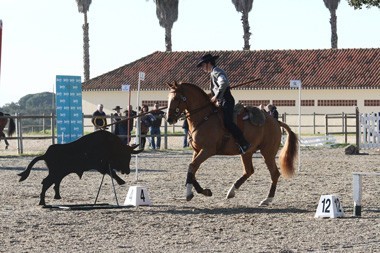 Resultados da 2&ordf; jornada da Final do Cpto. Nacional de Equita&ccedil;&atilde;o de Trabalho