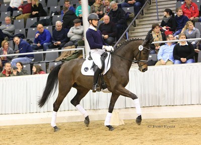 Brilliant start of 2015 Auction Year