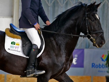 SLaudiovisual ultrapassa 1 milhão de fotografias de Saltos de Obstáculos