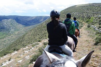 Curso de Guia de Turismo Equestre