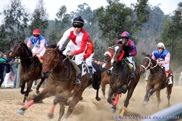 Santa Casa vai explorar apostas em corridas de cavalos