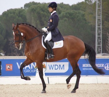 Gon&ccedil;alo Carvalho e &laquo;Batuta&raquo; surpreendem no CDI5* em Vidauban (V&Iacute;DEO)