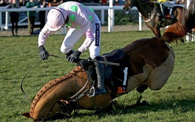 Queda nas corridas de cavalos em Cheltenham dá prejuízos volumosos