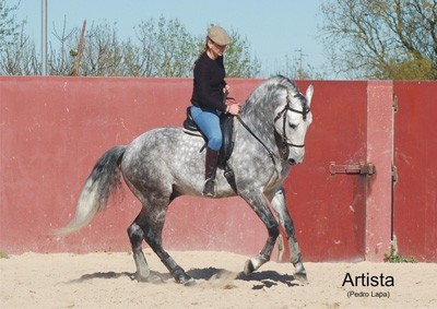 Ana Batista - Quadra para a Temporada 2015