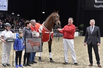 Bøgegårdens Apollo Stallion of the Year 2015