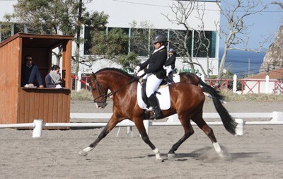 Açores – Dressage - Taça e Campeonato