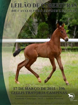 BRASIL: Leilão de Coberturas do cavalo Lusitano