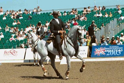 Morreu a &eacute;gua &laquo;Navalha&raquo; campe&atilde; do mundo de Equita&ccedil;&atilde;o de Trabalho