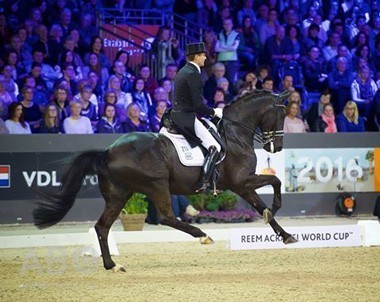 Gal and Undercover reign supreme on home ground (VIDEO)