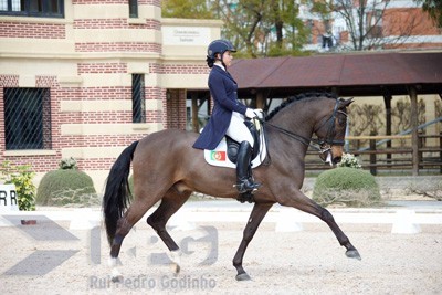 Ranking Mundial de Jovens Cavaleiros – Inês Cancio no Top 50