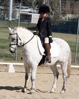 II Open Oeiras Dressage Poneis em Porto Salvo