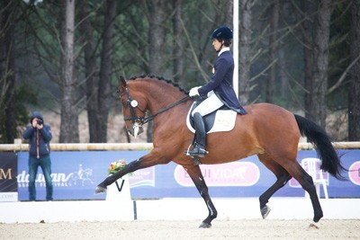 WDM continues in Munich and promises a great dressage experience