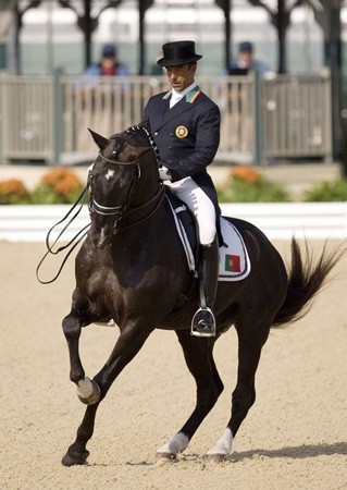 «Xelim» melhor garanhão Lusitano do Ranking Mundial de Raças