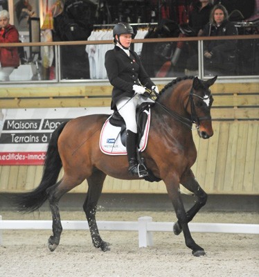 CPEDI*** Deauville: delightful diversity for para-dressage!