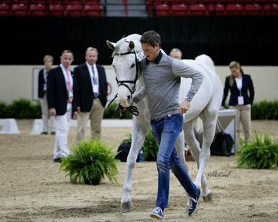 Horse Inspection Held at 2015 FEI World Cup™ Finals