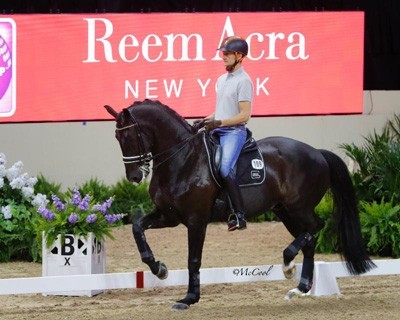 Dressage Schooling Session Draws Large Applause
