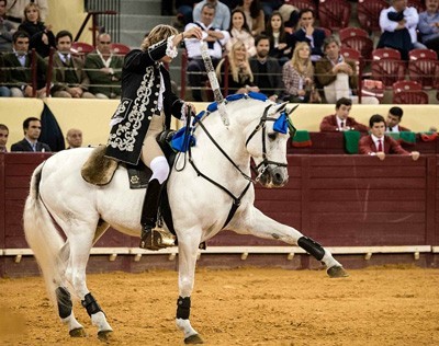 Temporada 2015 abriu com casa cheia (VÍDEO)