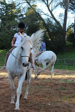 Projecto «Todos a Galope» para crianças desfavorecidas
