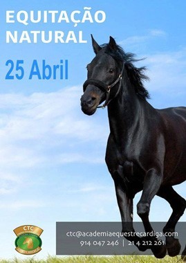Workshop de sensibilização para a Equitação Natural