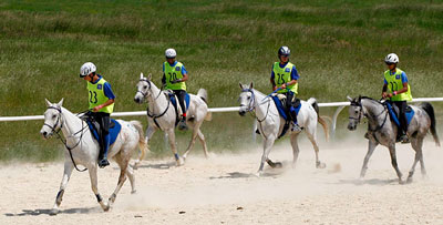 9 Cavaleiros pré-seleccionados para o Campeonato de Espanha de Raids de Jovens Cavaleiros 2015