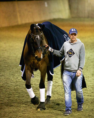 As estrelas dos bastidores: os tratadores