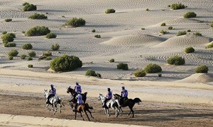 FEI Tribunal dismisses UAE request to lift suspension