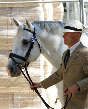 CDI3* Madrid: Os 21 cavalos portugueses passam no vet check