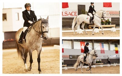 Cavaleiras Lusas Paral&iacute;mpicas qualificam-se para o Europeu