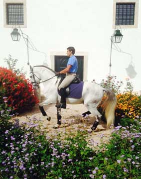 &laquo;Duelo da Broa&raquo; o mais bem pontuado em Ponte de Lima, vendido a Diego Ventura