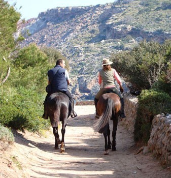 Entidade Regional de Turismo prepara produto “Turismo Equestre”