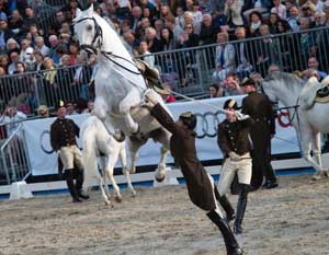 V&iacute;deo do 450&ordm; anivers&aacute;rio da Escola Espanhola de Equita&ccedil;&atilde;o de Viena