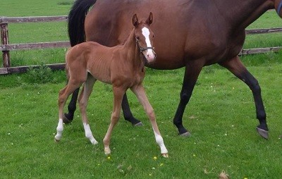 Nasceu filha de um clone de Cruising