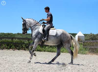 &laquo;GUAPA MVL&raquo; refor&ccedil;a team de competi&ccedil;&atilde;o do Monte Velho