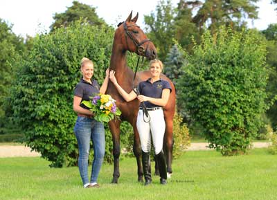 «Reminder» highest priced horse, sold to the Netherlands (VIDEO)