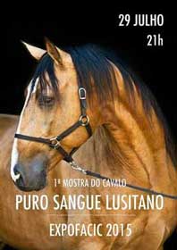 1ª Mostra do Cavalo Puro Sangue Lusitano em Cantanhede