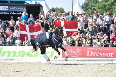 Verden - Campeonatos do Mundo - Cavalos Novos (Dressage) – Domínio da Dinamarca
