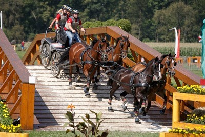Aachen 2015: Germany’s Michael Brauchle and Dutch team claim gold