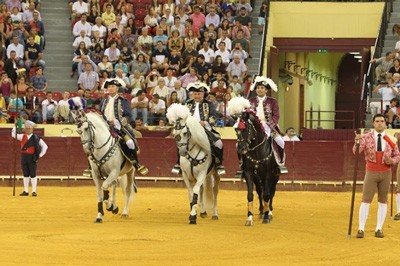 Três cavaleiros, três estilos