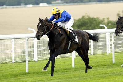 Cinco mil máquinas vão permitir apostas como se fosse o Euromilhões