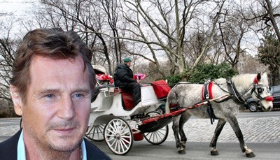 Liam Neeson insta autarca de NY a reconhecer derrota no caso das carroças de cavalos