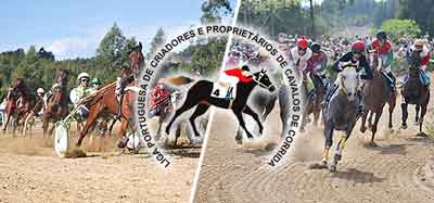 Liga Cavalos de Corrida reconhecida pelo Governo para organização de Corridas em Portugal