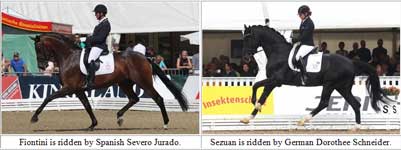 Fiontini and Sezuan are headlines in Verden