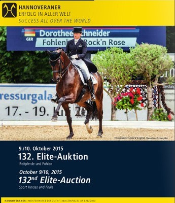 Elite auction of top futurity prospects (VIDEO)