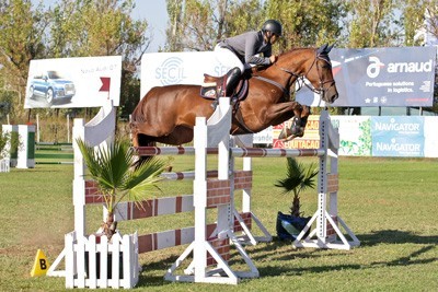 O Cavalo Português de Desporto em destaque nos Critérios de Cavalos Novos 2015