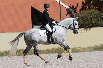 &laquo;Duque do Pinheiro&raquo; e &laquo;Fais&atilde;o&raquo; os mais bem pontuados em &Eacute;vora (V&Iacute;DEO)