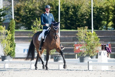European Paradressage Championships:Orange is the new gold as The Netherlands top the medal table