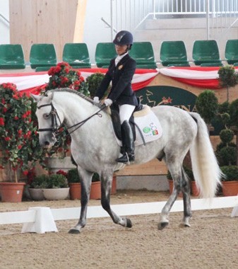 FEI European Para-Equestrian Dressage Championships 2015: Twenty nations head to first Championships to be held in France